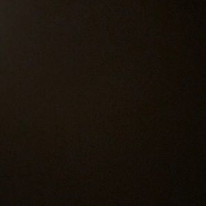 Meet your Posher, Ricky